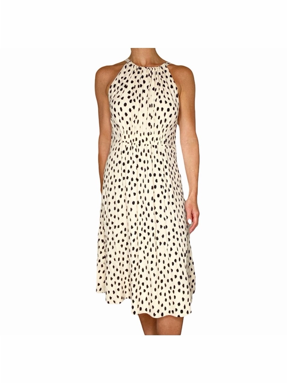 Kate Spade Take A Walk on the Wild Side Dress